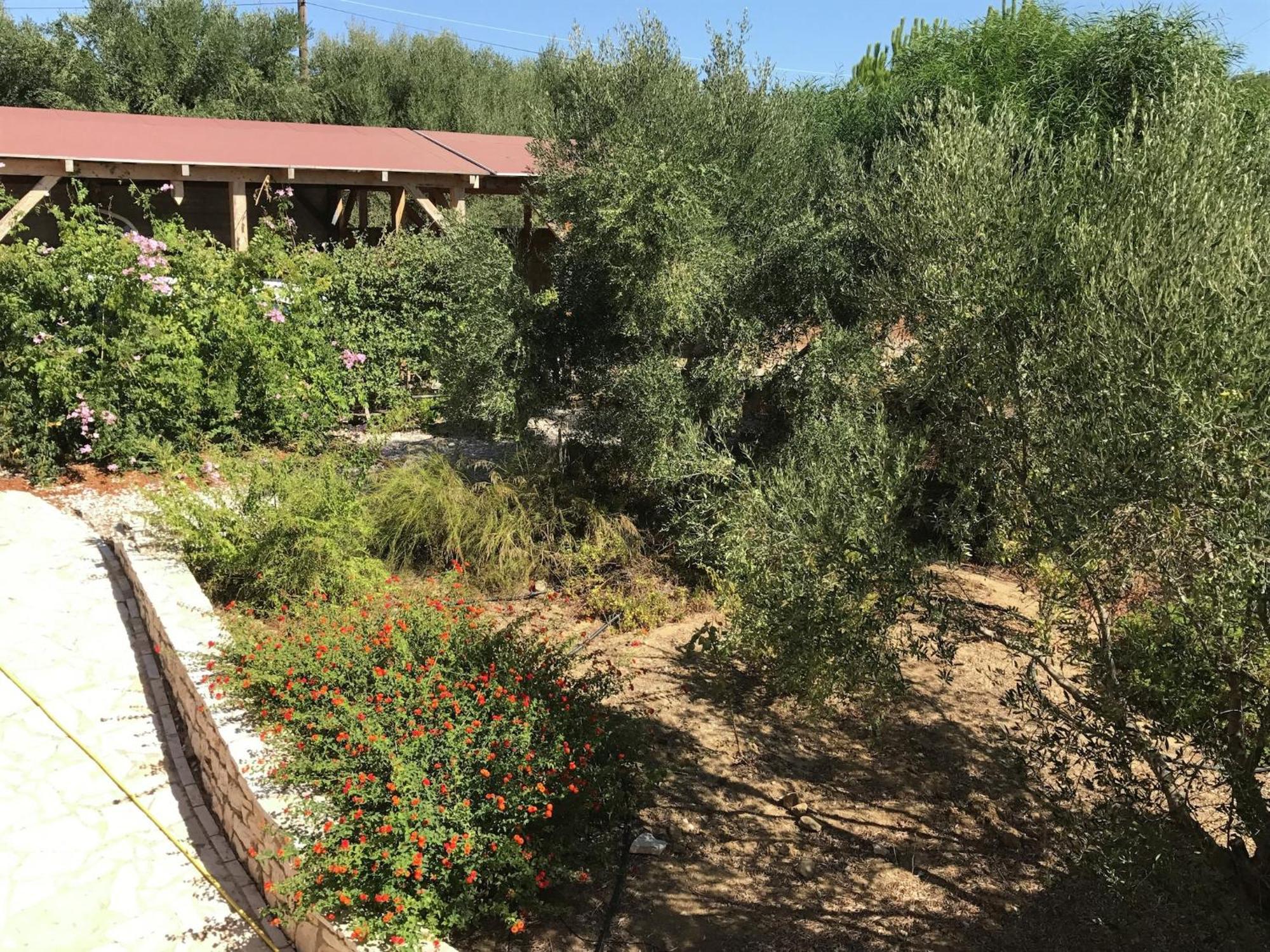 Luxurious Villa In Peloponnese With Swimming Pool Kamária Exterior foto